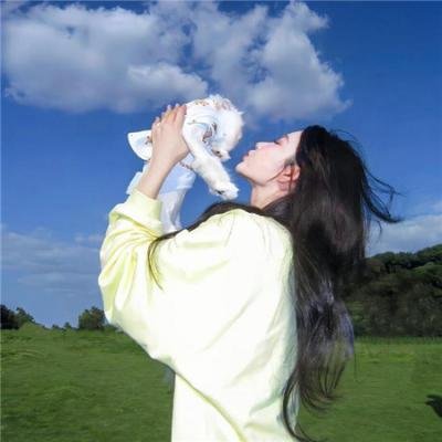 锅匠，裁缝，士兵，间谍